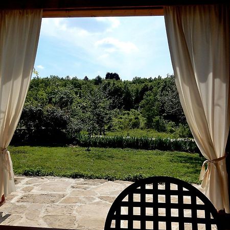 Holiday Home Casa Dei Farfui Momjan エクステリア 写真