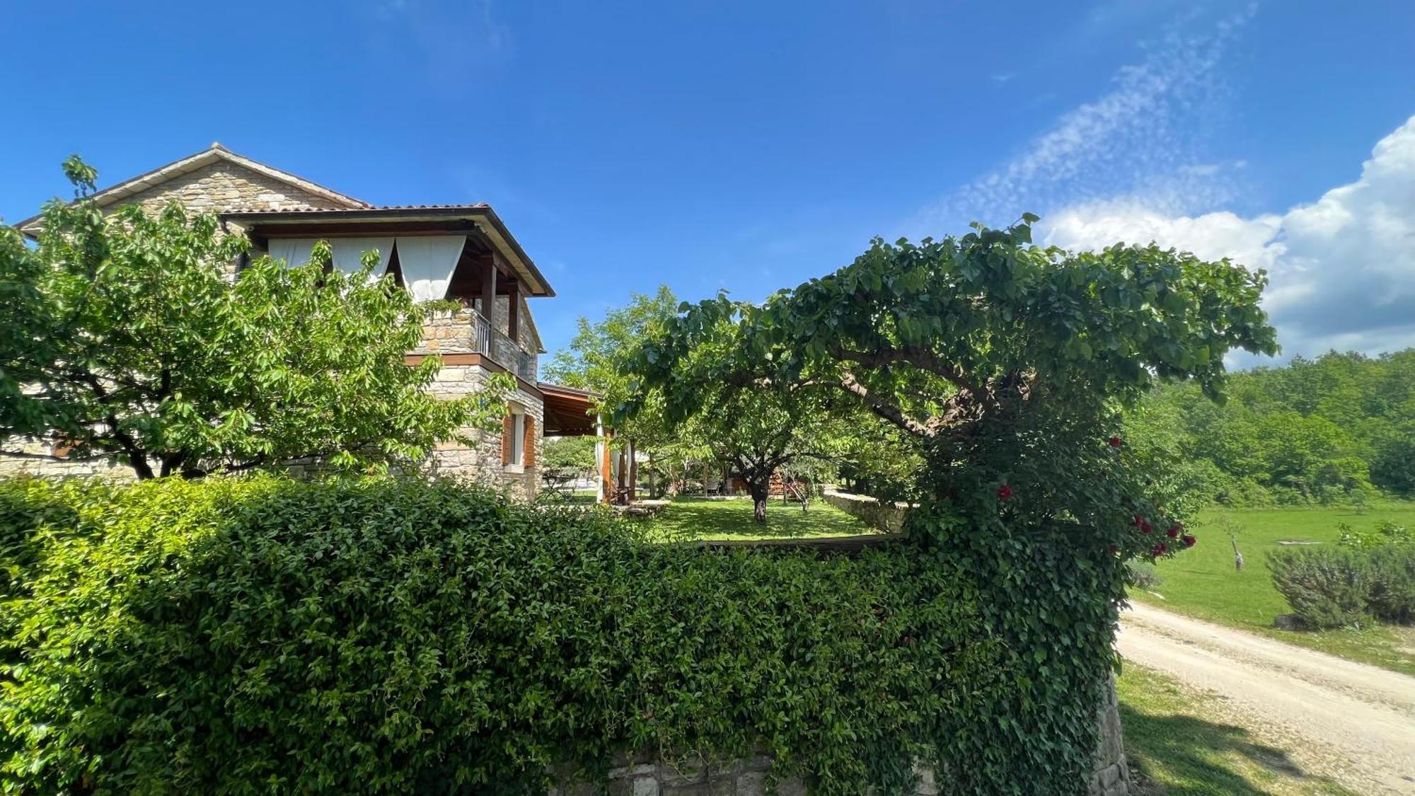 Holiday Home Casa Dei Farfui Momjan エクステリア 写真