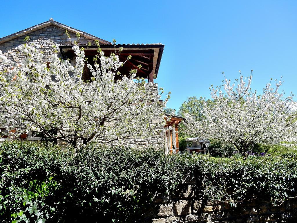Holiday Home Casa Dei Farfui Momjan エクステリア 写真